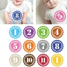 12 מדבקות צבעוניות לציון חודשי השנה לתינוקות מגיל 0 עד 12 חודשים