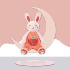 בובה רכה ומפנקת לפעוטות עם נשכן מעוצבת בסגנון ארנב על ירח
